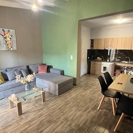 Ria'S Gardenview Apartment ヨアニナ エクステリア 写真